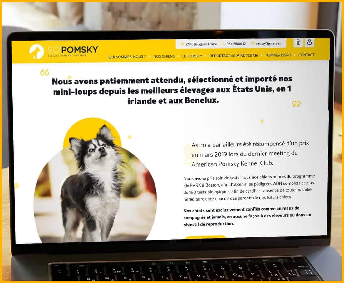 Agence-WordPress-création-site-internet-élevage-de-chiens